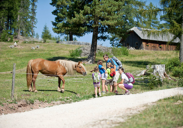 © 2023 Residence Gerberhof